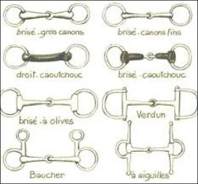 &Agrave; quoi sert le mors ?