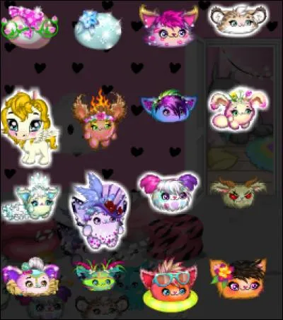 Combien de petpets pouvons-nous mettre dans notre chambre ?