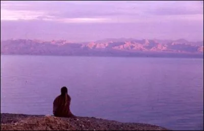 Quelle chanteuse conclut le titre "Pour ne pas vivre seul" ainsi : "Pour ne pas vivre seul On vit comme ceux qui veulent se donner l'illusion De ne pas vivre seul" ?