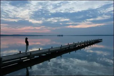 Qui a chanté "Elle danse seule Ephémère et légère J'oublie tout mon passé, mes misères Elle danse seule, seule" ?