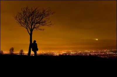 Quelle chanteuse dit aller seule par les rues l'âme en peine car personne ne l'aime ?