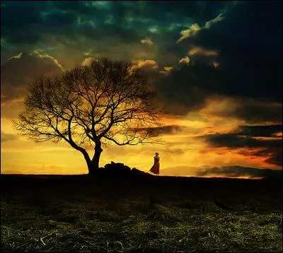 Quel chanteur a appris tout seul à faire ses armes ?