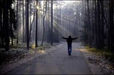 Quelle chanteuse évoque "la solitude" qui partout lui fait escorte, la suit pas à pas, l'attend devant sa porte ?