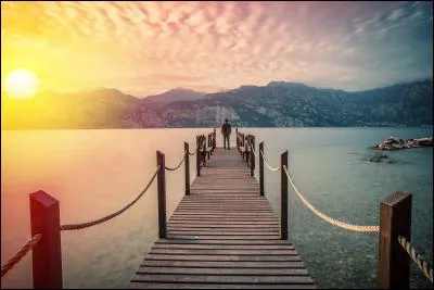 Quel chanteur n'est jamais seul avec sa solitude ?