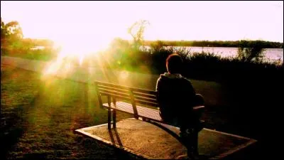 Quel chanteur a interprété le titre "Pour être moins seul" dans son album "Celui qui chante" ?