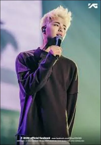 Quelle chanson ont-ils chantée seulement en rap ?