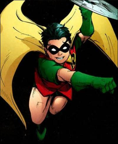 Quel est le nom du premier Robin ?