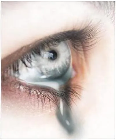 Avec qui l'oiseau m'avait-il laissée ?