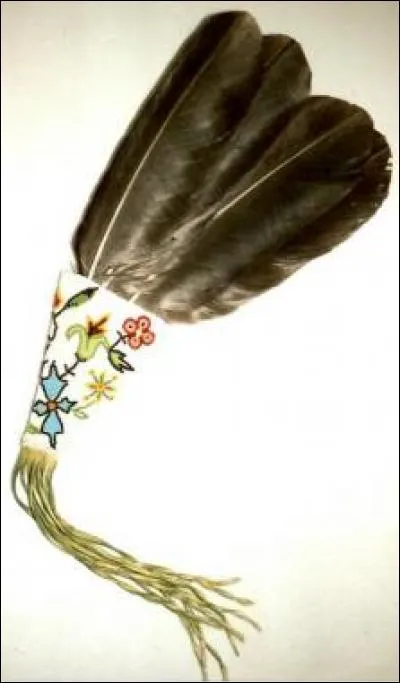 Complète les paroles : « L'aigle noir, dans un bruissement d'ailes, pris son envol pour regagner le ciel.  plumes, couleur de la nuit ».