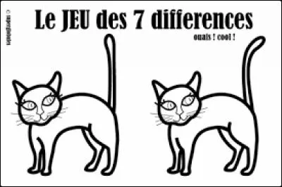 J'observe l'image et je vois : le jeu des 7 différences qu'il faut chercher en se basant sur deux chats !