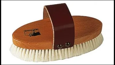 Comment s'appelle cet objet ?