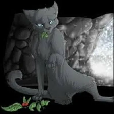 Qu'arrive-t-il à Nuage Cendré ?