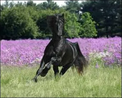 Quelle est cette robe ?