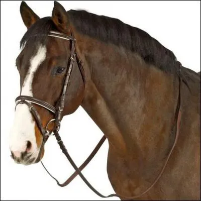 Comment s'appelle cet accessoire ?