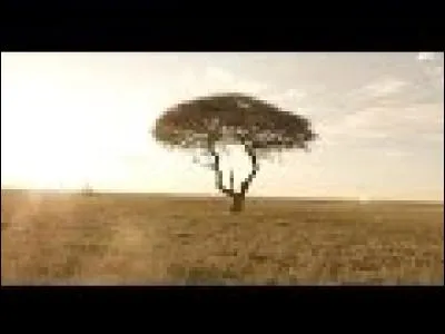 Comment s'appelle leur premier projet ?