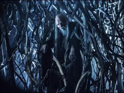 Comment s'appelle le vieillard omniscient ami des enfants de la forêt ?