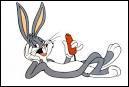 Quiz Looney tunes