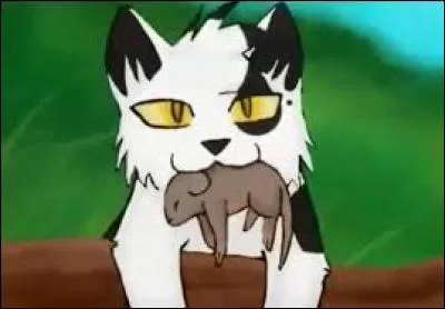 Qui tue Nuage Agile et mutile Nuage Blanc ?