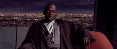 Quel est l'acteur qui incarne Mace Windu ?