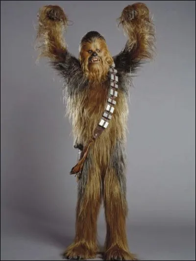 Quand voit-on pour la premier fois Chewbacca ?