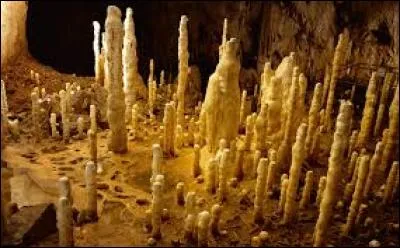 Quel nom donne-t-on à une concrétion formée au sol d'une grotte ?