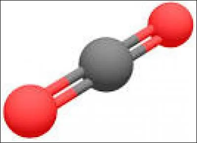 Quel gaz est utilisé par les poumons ?