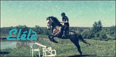 Quelles sont les catégories principales dans les concours ?