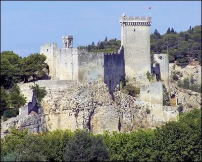Ville romaine et port sur le Rhône, Beaucaire possède une remarquable forteresse datant de Saint-Louis. Mais c'est sa célèbre foire qui procurera à la ville une renommée internationale du XVIIe au XIXe siècles. Quel est son nom ?