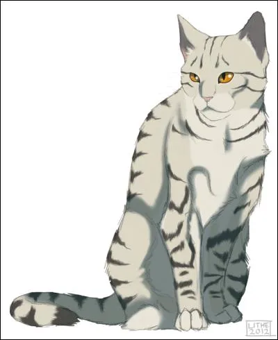 Qui était le compagnon de la chatte sur la photo ?