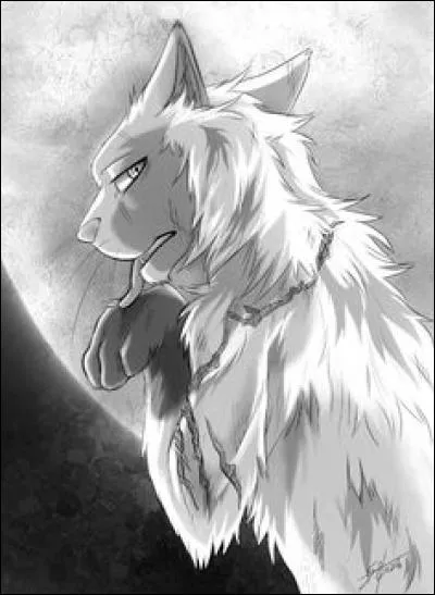 Est-ce que ce chat est Patte de Neige ?