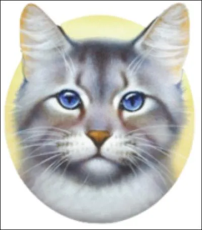 Si oui, comment s'appelle-t-elle ?