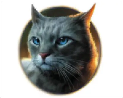 Est ce que le chat sur la photo s'est entraîné dans la forêt 
sombre ?