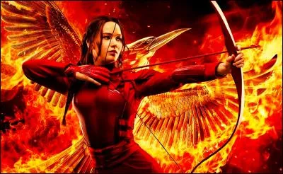 Dans le premier tome de "Hunger Games", qui est le partenaire de Katniss pour les 74e Hunger Games ?