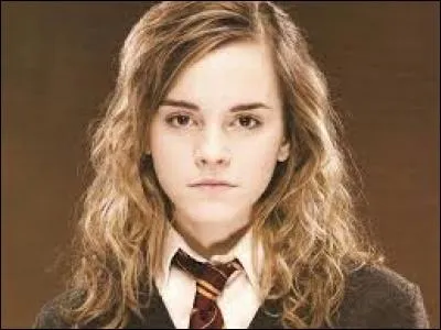 Quel métier les parents d'Hermione Granger exercent-ils ?