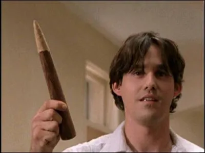 Sur la photo, Alex confond le pieu avec :