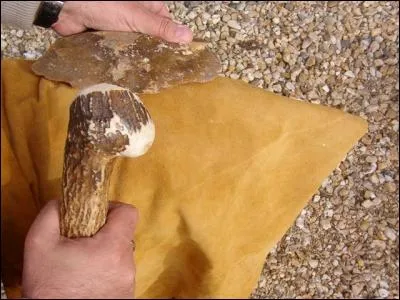 Se tailler un steack dans un gibier n'étant pas évident, l'homme préhistorique se devait de trouver une solution !