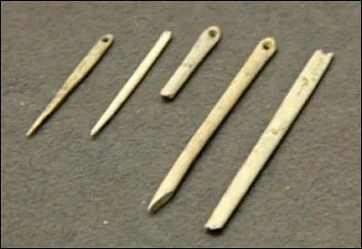 Tatie Néanderthal était bien embêtée pour coudre les peaux de bêtes, alors elle a eu une idée géniale !