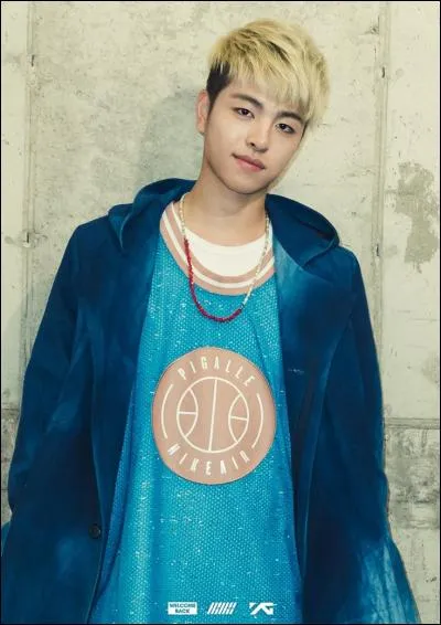 Quel est le pr&eacute;nom de cette chanteuse ?