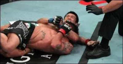 Comment appelle-t-on cette prise de soumission effectuée par Chan Sung Jung sur Leonard Garcia ?