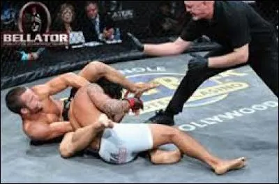 Comment appelle-t-on cette prise de soumission effectuée par Pat Curran sur Luis Palomino ?