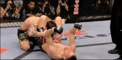 Comment appelle-t-on cette prise de soumission effectuée par Nate Diaz sur Kurt Pellegrino ?