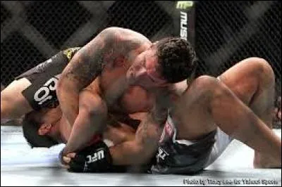 Comment appelle-t-on cette prise de soumission effectuée par Frank Mir sur Antonio Rodrigo Nogueira ?
