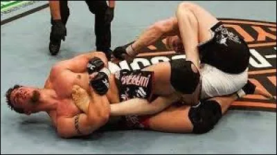 Comment appelle-t-on cette prise de soumission effectuée par Frank Mir sur Brock Lesnar ?