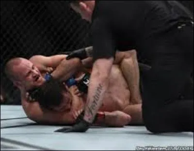 Comment appelle-t-on cette prise de soumission effectuée par Gunnar Nelson sur Albert Tumenov ?