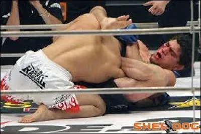 Comment appelle-t-on cette prise de soumission effectuée par Nick Diaz sur Takanori Gomi ?