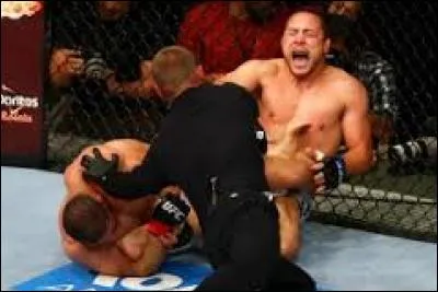 Comment appelle-t-on cette prise de soumission effectuée par Rousimar Palhares sur Mike Pierce ? (PS : Effectivement Pierce a très mal mais c'est parce que Palhares a retenu trop longtemps sa soumission et a même été sanctionné pour cela. Les cas de soumissions maintenues par les combattants après intervention de l'arbitre sont très rares, voilà ^^)