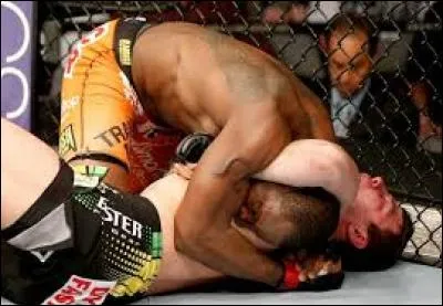 Comment appelle-t-on cette prise de soumission effectuée par Ovince St Preux sur Nikita Krylov ?