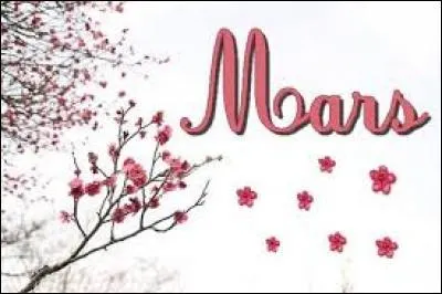 Combien y a-t-il de jours au mois de mars ?