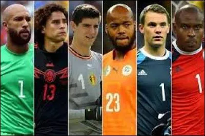 Quelle a été l'année où l'on a appelé la Coupe du monde "la Coupe du monde des gardiens" ?