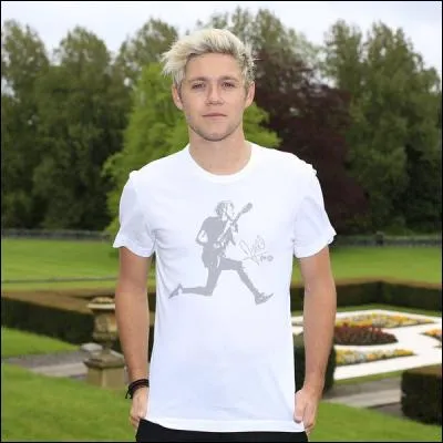 Quel est le nom du site de tee-shirts de Niall ?
